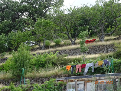 Chantier foins and co, DSC03298