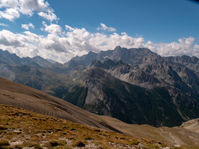 28/07/22 Tête de Girardin, sans titre-28072022-_1055310