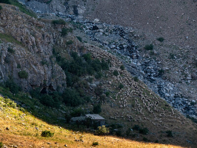 31/08/22 Lac de Reyna, sans titre-01082022-_1055353