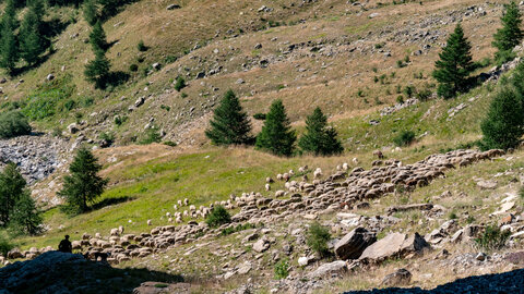 31/08/22 Lac de Reyna, sans titre-01082022-_1055355