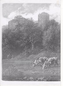 chateau et histoire Semblancay, CHATEAU SEMBLANCAY 016