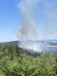 Morvan 2022, IMG_0427