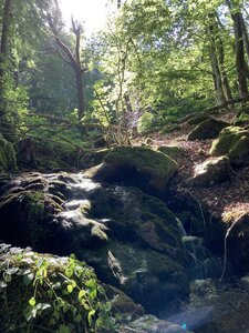 Morvan 2022, IMG_0332