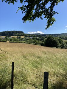 Morvan 2022, IMG_0045