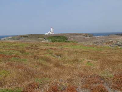 Belle-Île, entre Sauzon et Ster Vraz<br>@copyleft <a href=https://www.le-fab-lab.com>Le Fab'Blab</a> Licence Art Libre, 2022-08-18-sauzon-vers-les-poulains-08
