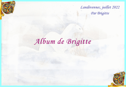 LANDEVENNEC Juillet 2022 ---> Album de Francine, de Brigitte, et de Jacques, 020