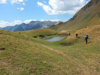 2022-07-31 Camp Asasp, DSCN9718  Copier 