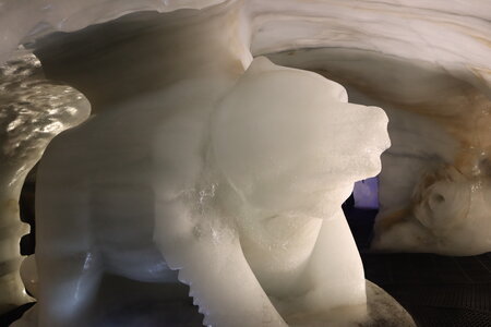 Les Glaciers de la Meije, Les Vallons de la Meige 034