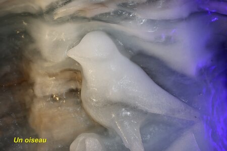 Les Glaciers de la Meije, Les Vallons de la Meige 036