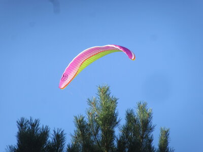 Alten 28 août 2022, IMG_4857