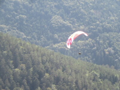 Alten 28 août 2022, IMG_4837