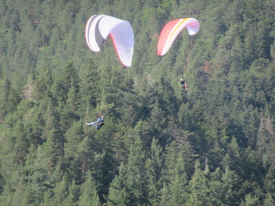 Alten 28 août 2022, IMG_4826