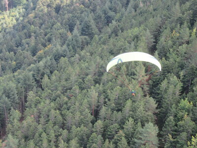 Alten 28 août 2022, IMG_4787