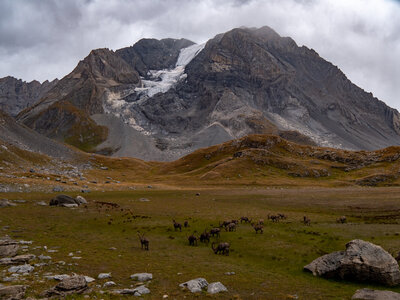 Le tour des glaciers de la Vanoise, vanoise-30082022-_1055730