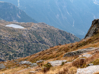 Le tour des glaciers de la Vanoise, vanoise-31082022-_1055837