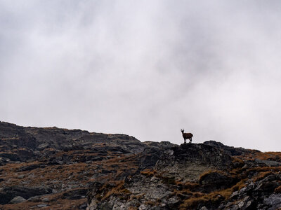 Le tour des glaciers de la Vanoise, vanoise-31082022-_1055843