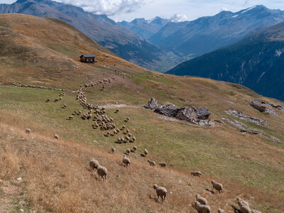 Le tour des glaciers de la Vanoise, vanoise-01092022-_1055897