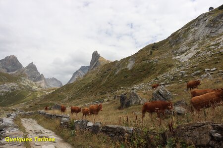 Tour des Glaciers de la Vanoise (1er jour), Tour des Glaciers de la Vanoise  1er jour  005