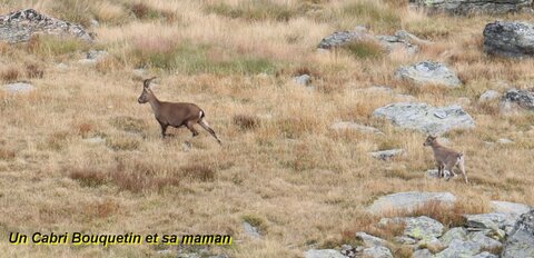 Tour des Glaciers de la Vanoise (2ème jour), Tour des Glaciers de la Vanoise  2ème jour  043