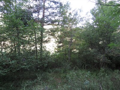 Lac St Léger, IMG_9102