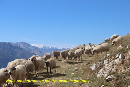 Tour des Glaciers de la Vanoise (3ème jour), Tour des Glaciers de la Vanoise  3ème jour  037
