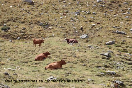 Tour des Glaciers de la Vanoise (4ème jour), Tour des Glaciers de la Vanoise  4ème jour  032