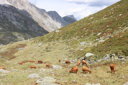 Tour des Glaciers de la Vanoise (4ème jour), Tour des Glaciers de la Vanoise  4ème jour  033