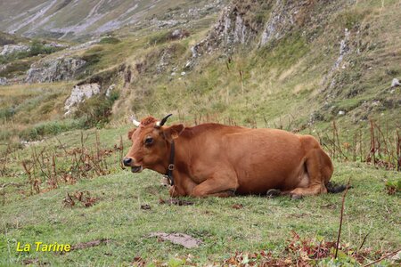 Tour des Glaciers de la Vanoise (4ème jour), Tour des Glaciers de la Vanoise  4ème jour  040