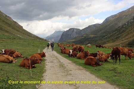 Tour des Glaciers de la Vanoise (4ème jour), Tour des Glaciers de la Vanoise  4ème jour  041