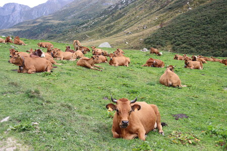 Tour des Glaciers de la Vanoise (4ème jour), Tour des Glaciers de la Vanoise  4ème jour  043