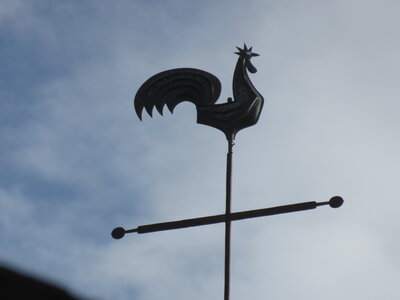 bestiaire, IMG_3379