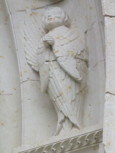 bestiaire, IMG_4380