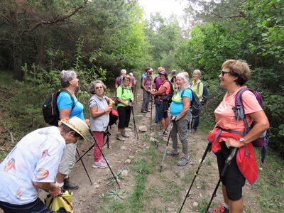 Tour de Faudon, IMG_9205