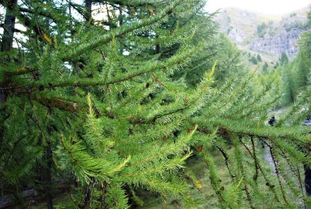 Lac et col de Neal 15092022, DSC_0008
