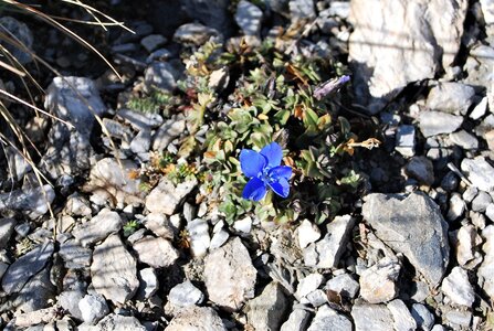 Lac et col de Neal 15092022, DSC_0114