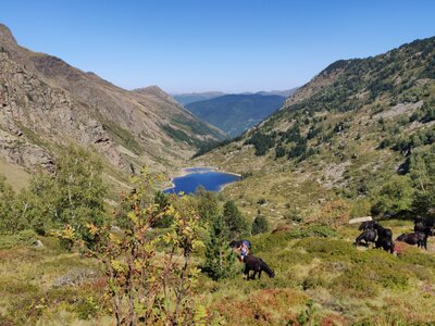 22.09 Rando Rulh..hle...ruhllh...  Rando montagne, IMG_20220917_144144