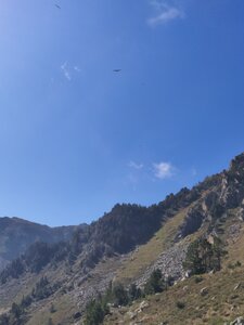 22.09 Rando Rulh..hle...ruhllh...  Rando montagne, IMG_20220917_114647