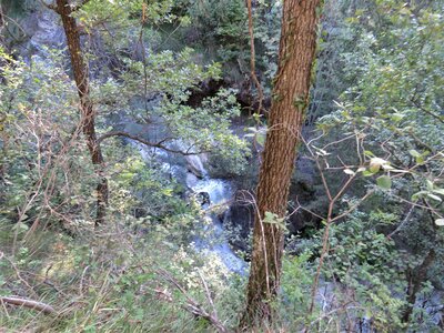 Cascades Costeplane-BARS, IMG_9236