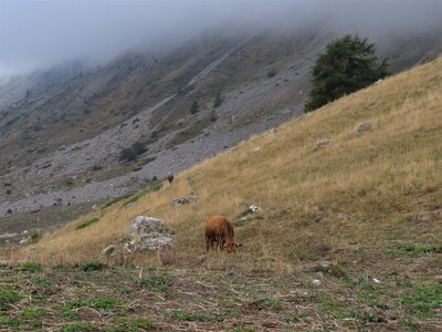 Col de la Gardette, IMG_9254