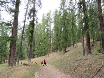 Col de la Gardette, IMG_9258