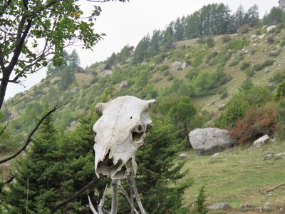 Col de la Gardette, IMG_9259