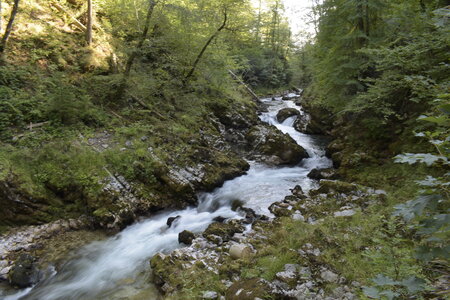 Slovénie Août 2022, _DSC0871