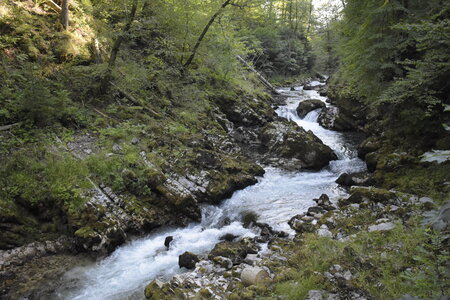 Slovénie Août 2022, _DSC0868