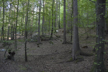 Slovénie Août 2022, _DSC0944