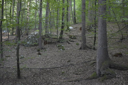 Slovénie Août 2022, _DSC0943