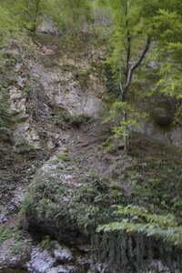 Slovénie Août 2022, _DSC0928
