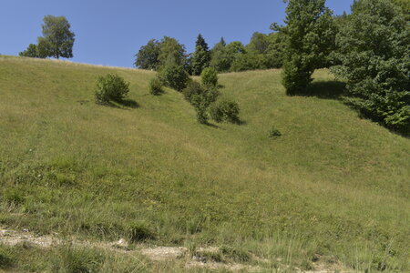 Slovénie Août 2022, _DSC0574