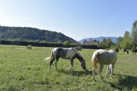 Slovénie Août 2022, _DSC0544