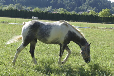 Slovénie Août 2022, _DSC0542