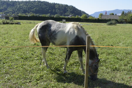 Slovénie Août 2022, _DSC0537